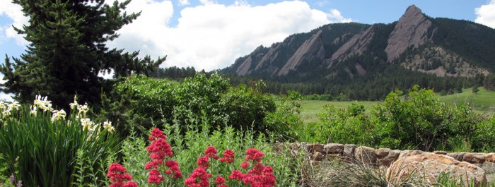 1374008105_chautauqua-flower-bed